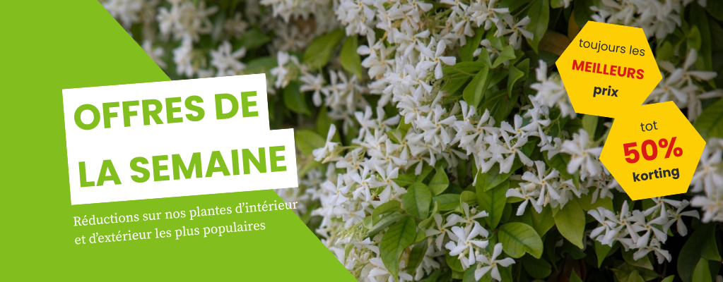 Offres de la semaine