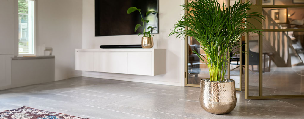Plantes+pots