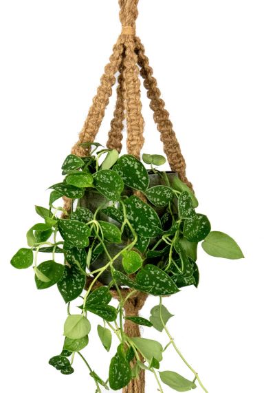 Corde de plante macreme
