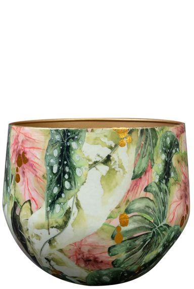 Lammie monstera mystery pots 3