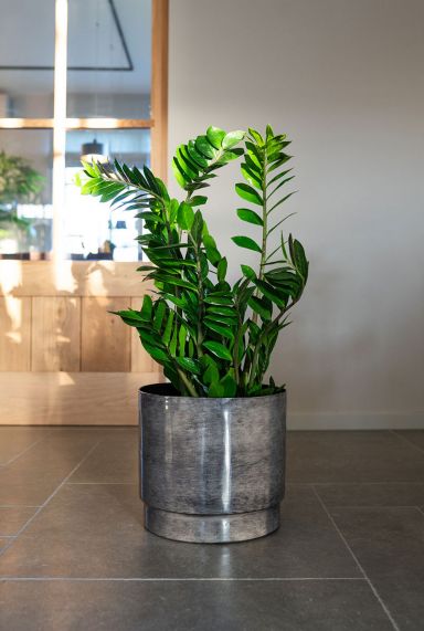 Rens metaal grijs pot 1