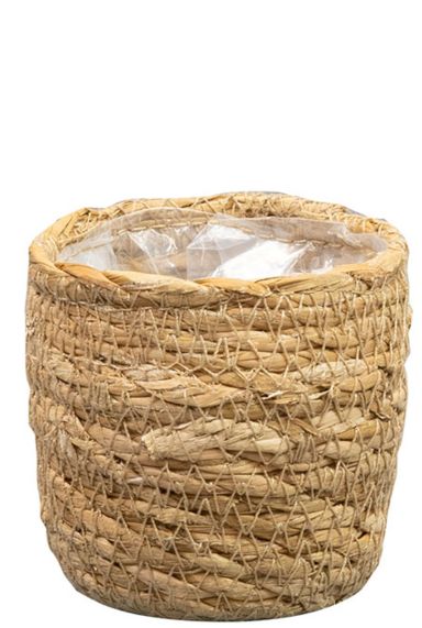 Stef plantes a panier