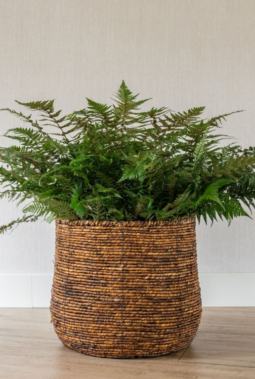 Bruin plantenmand bob