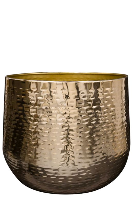 Carly pot or 37
