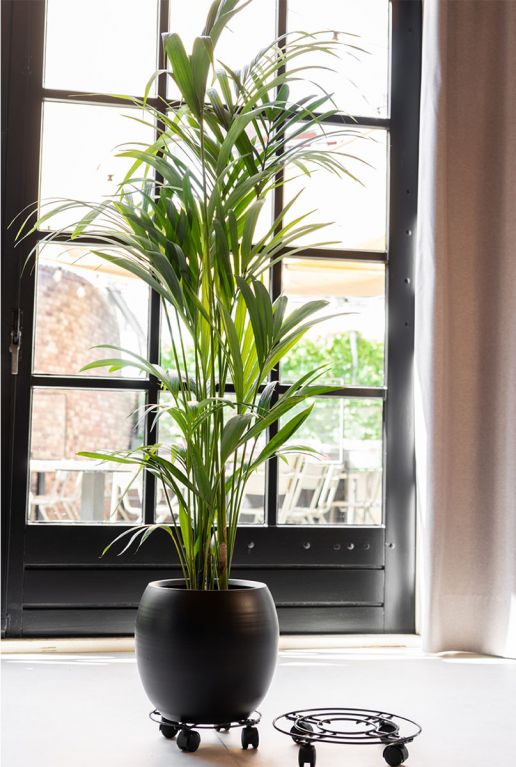 Chariot porte plantes 1