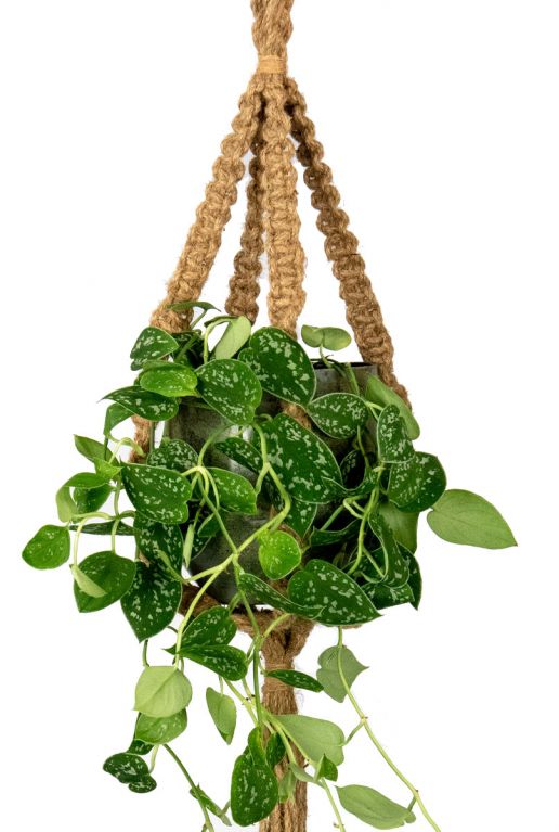 Corde de plante macreme