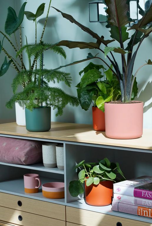 Elho b for soft pink 7