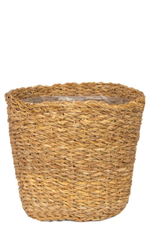 Grand beau panier de plantes