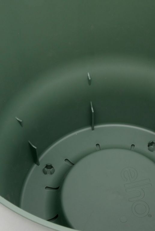 Groen1 3 1