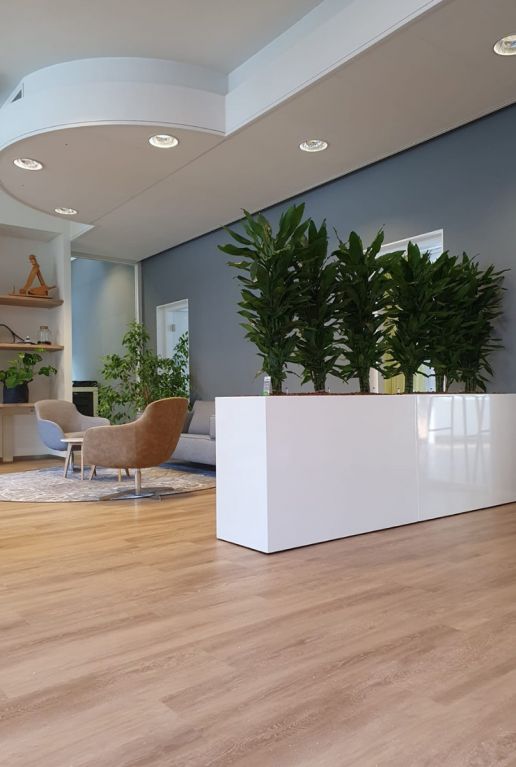 Office planter des plantes d'intérieur 2