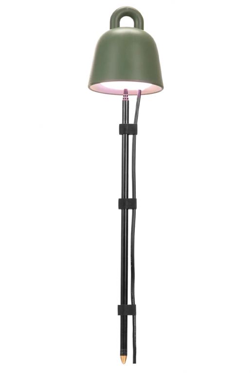 Leaf light plants care green