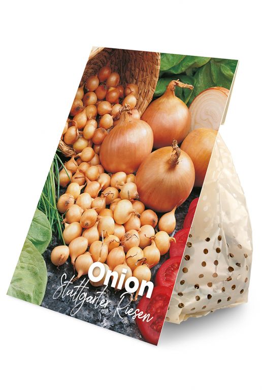 Onion Stuttgarter Riesen 