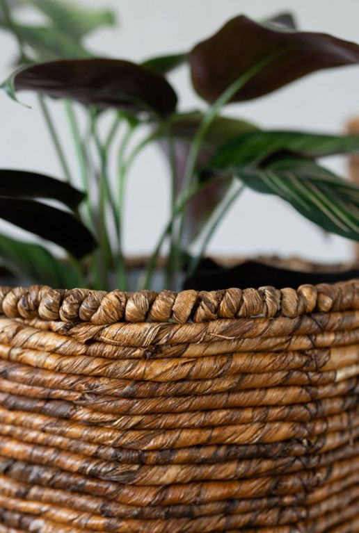Plantenmand bruin