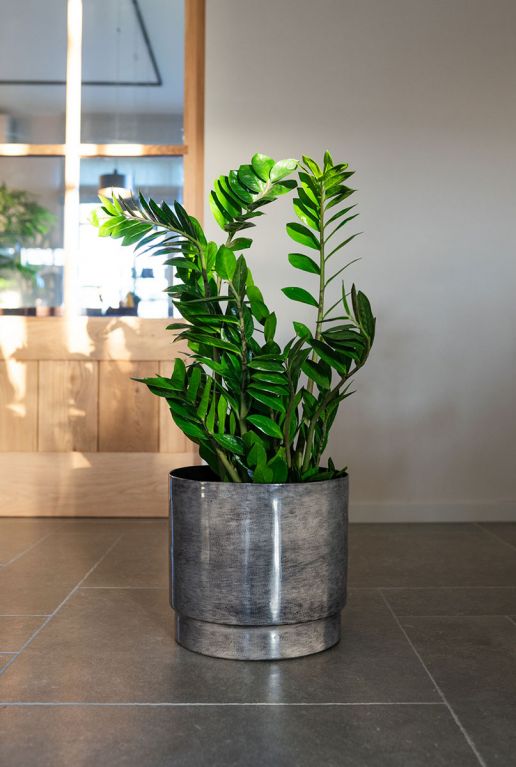 Rens metaal grijs pot 2