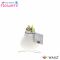 Epipremnum Pinnatum Global Green