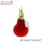 Epipremnum Pinnatum Global Green