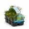  Plantes aquatiques riches en oxygène en pack de six