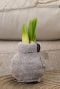 Amaryllis cozy fluffy grijs sfeer