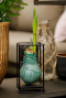 Amaryllis industrial groen sfeer