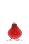 Amaryllis kolibri rood