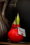 Amaryllis kolibri rood sfeer 2