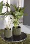 Capi nature groove groen potten 1