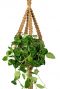 Corde de plante macreme