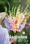 Gladiolen pastel mix bulbes a fleurs