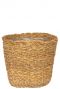 Grand beau panier de plantes