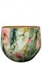 Lammie monstera mystery pots 4