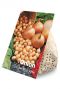 Onion Stuttgarter Riesen 
