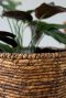 Plantenmand bruin