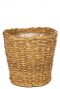 Plantes beau panier
