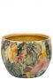 Pots designed by lammie monstera mystery 3