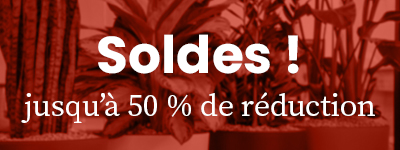 Mobile Menu Action Banner