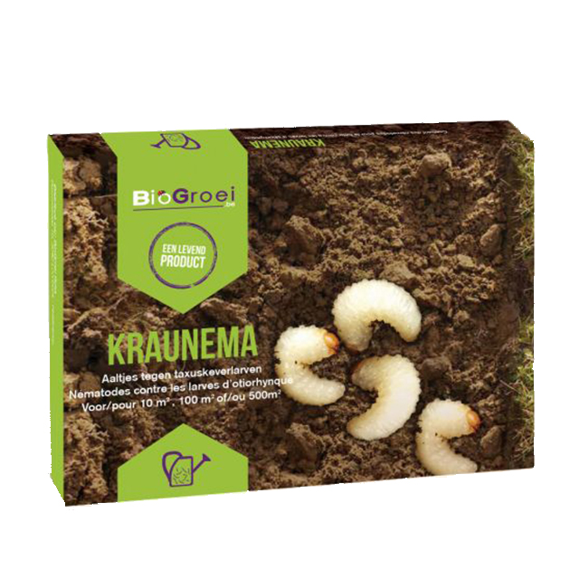 kraunema comme moyen de lutte contre les parasites kraunema comme moyen de lutte contre les parasites