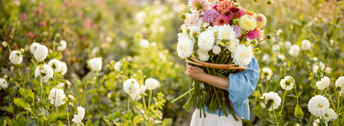Top 10 des variétés de bulbes à fleurs qui illumineront votre jardin en 2025 Top 10 des variétés de bulbes à fleurs qui illumineront votre jardin en 2025