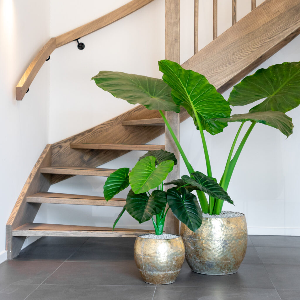 Mettre en forme une plante artificielle en 6 étapes Mettre en forme une plante artificielle en 6 étapes