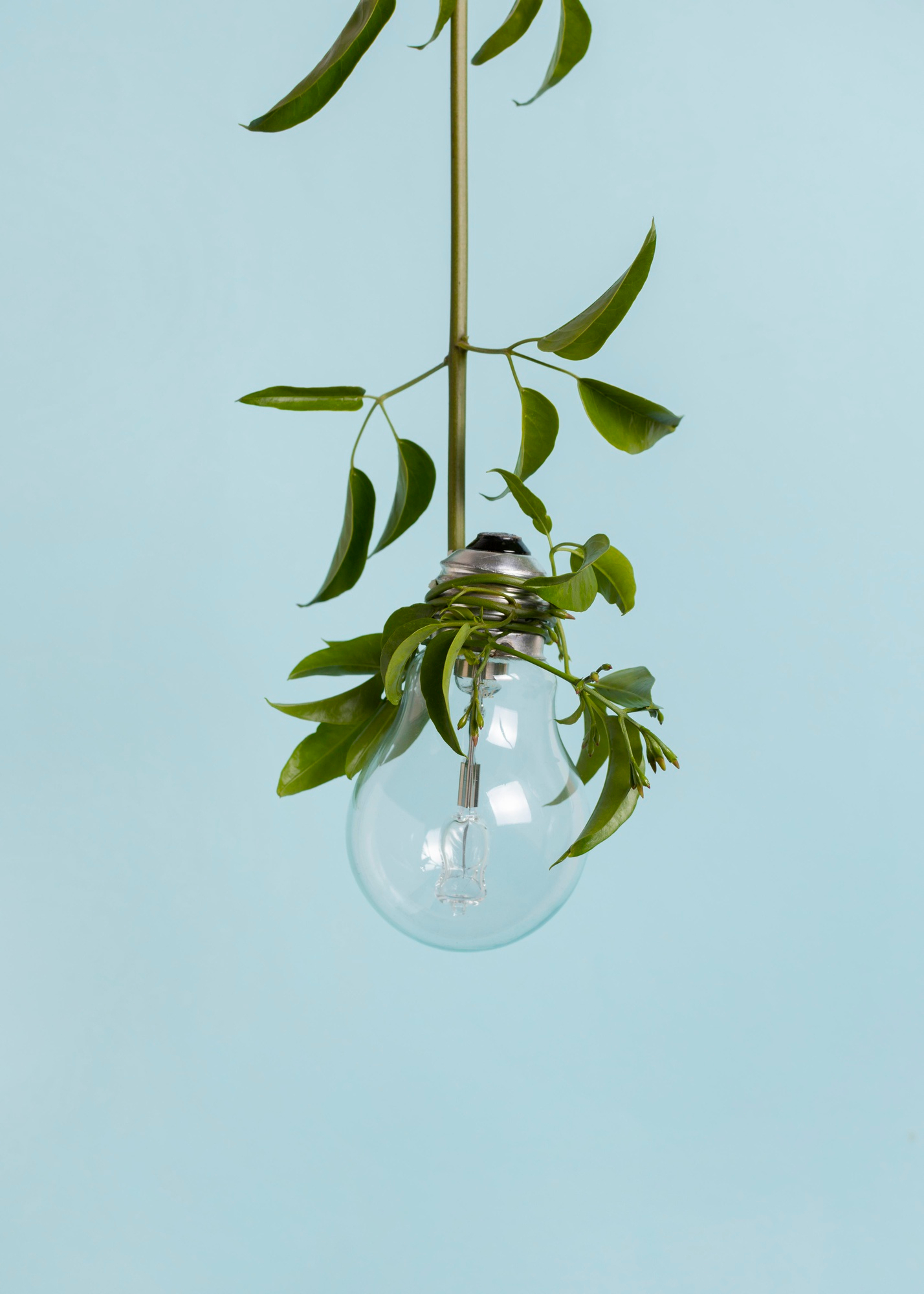 Lampes de croissance pour plantes d’intérieur : guide d’achat complet Lampes de croissance pour plantes d’intérieur : guide d’achat complet